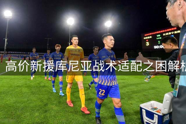 高价新援库尼亚战术适配之困解析